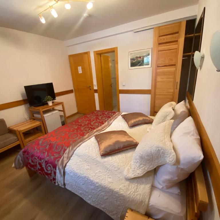 Hotel Berr - Dvokrevetna Soba sa Bračnim Krevetom - 15