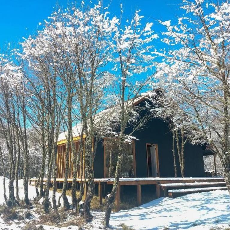 CABAÑA EN MALALCAHUELLO LA TURBINA - Two-Bedroom Chalet - 1