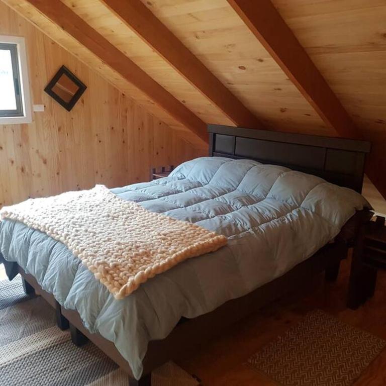 CABAÑA EN MALALCAHUELLO LA TURBINA - Two-Bedroom Chalet - 5