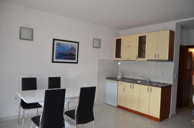 Vila Tamara Apartmani - Apartman sa 1 Spavaćom Sobom - 12