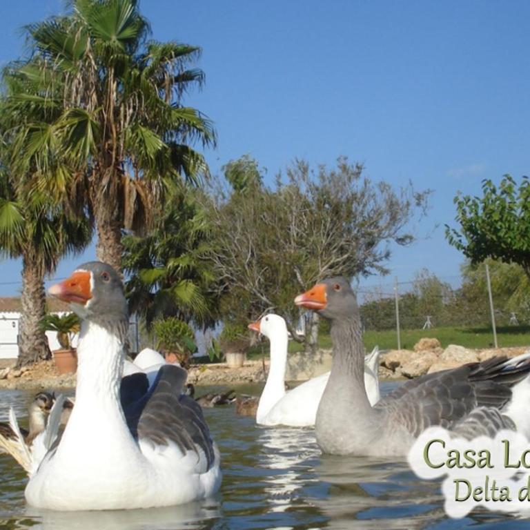 Casa Lo Fangar - Delta de l'Ebre C3 - Two-Bedroom Apartment - 6