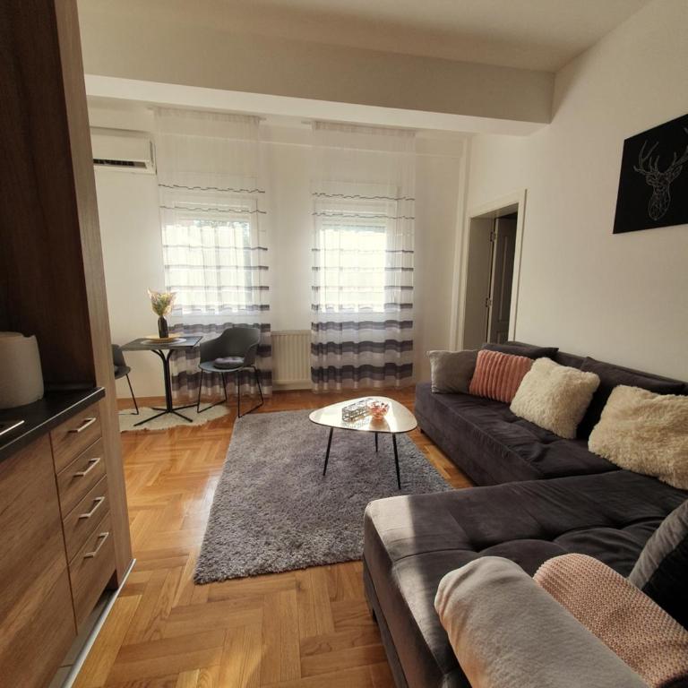 DRAGON Apartment - Apartman sa 1 Spavaćom Sobom - 9