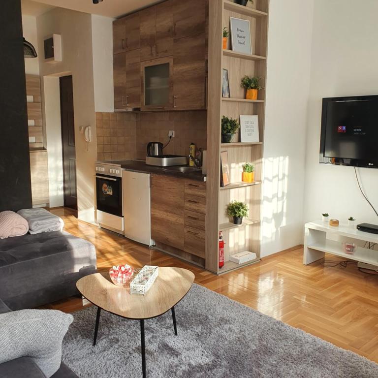 DRAGON Apartment - Apartman sa 1 Spavaćom Sobom - 11