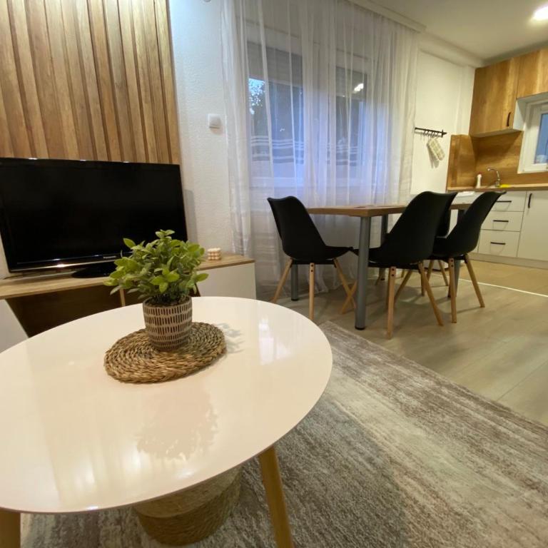 Apartmani Lazarevic Jagodina - Apartman s 1 Spavaćom Sobom 1 - 1