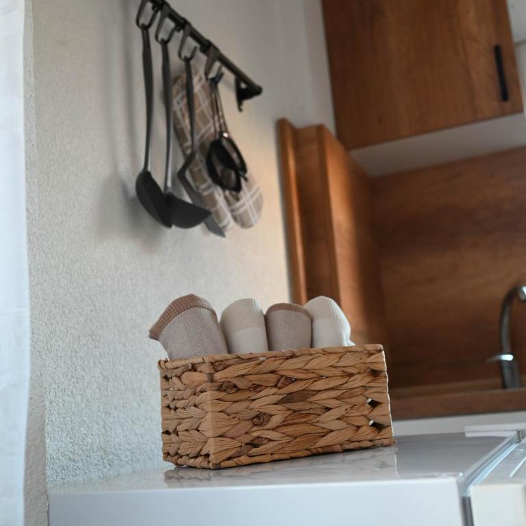 Apartmani Lazarevic Jagodina - Apartman s 1 Spavaćom Sobom 1 - 12