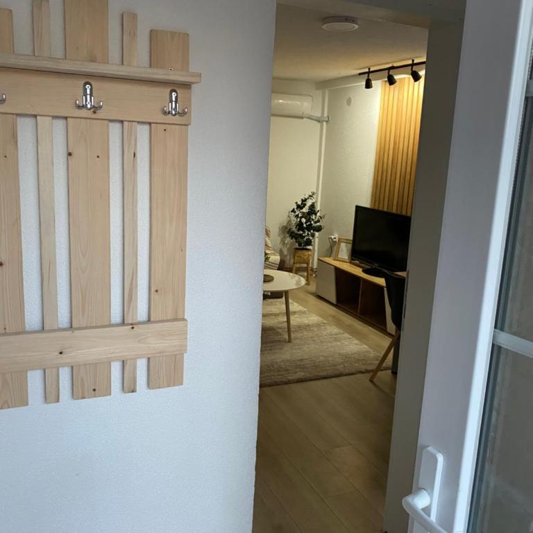 Apartmani Lazarevic Jagodina - Apartman s 1 Spavaćom Sobom 1 - 6