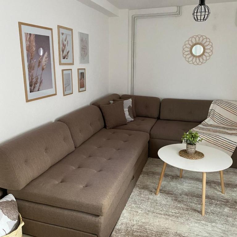 Apartmani Lazarevic Jagodina - Apartman s 1 Spavaćom Sobom 1 - 3