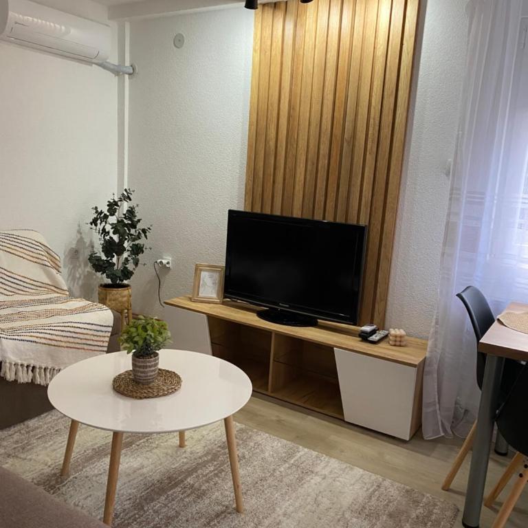Apartmani Lazarevic Jagodina - Apartman s 1 Spavaćom Sobom 1 - 8