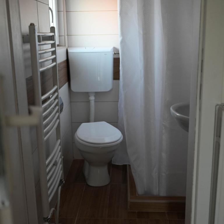 Apartmani Lazarevic Jagodina - Apartman sa 1 Spavaćom Sobom 2 - 17