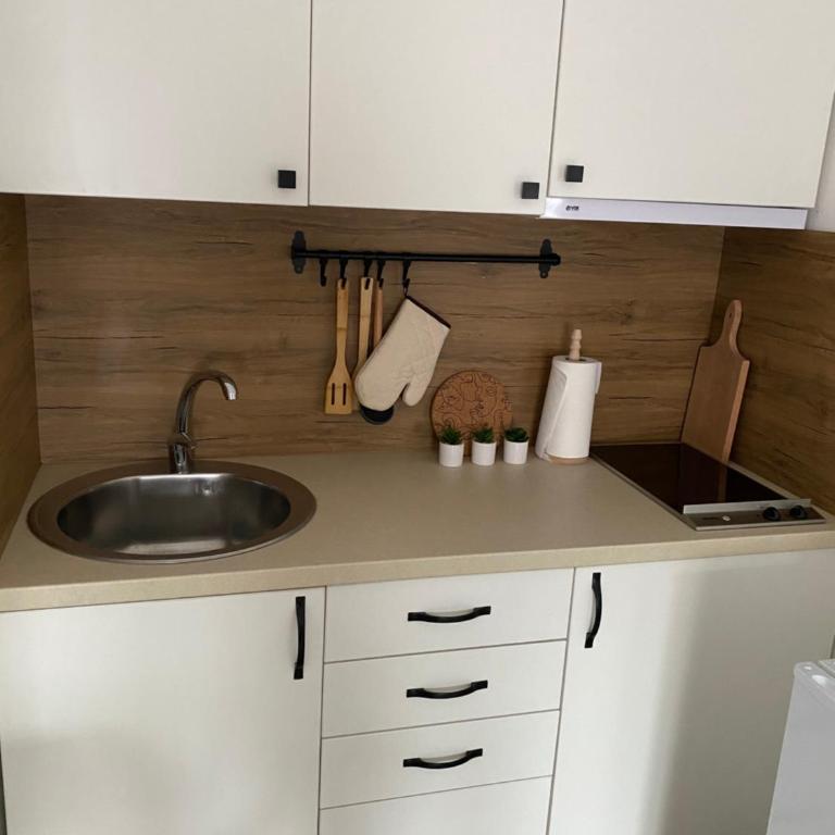 Apartmani Lazarevic Jagodina - Apartman sa 1 Spavaćom Sobom 2 - 10