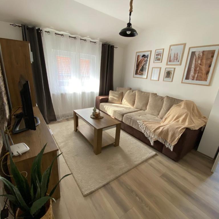 Apartmani Lazarevic Jagodina - Apartman sa 1 Spavaćom Sobom 2 - 3