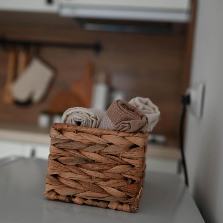 Apartmani Lazarevic Jagodina - Apartman sa 1 Spavaćom Sobom 2 - 11