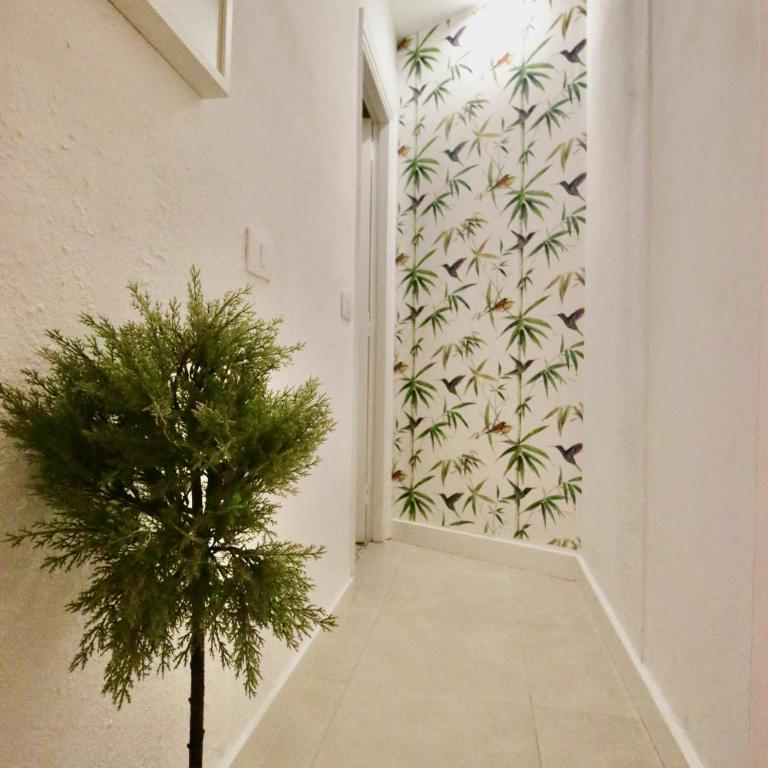 Sweet Home Apartaments - Apartamento - 7