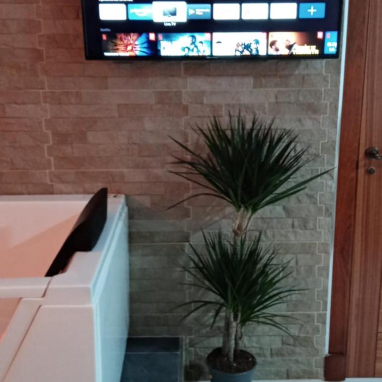 ESTUDIO Jacuzzi SOL De JEREZ - Apartamento de 1 dormitorio - 18