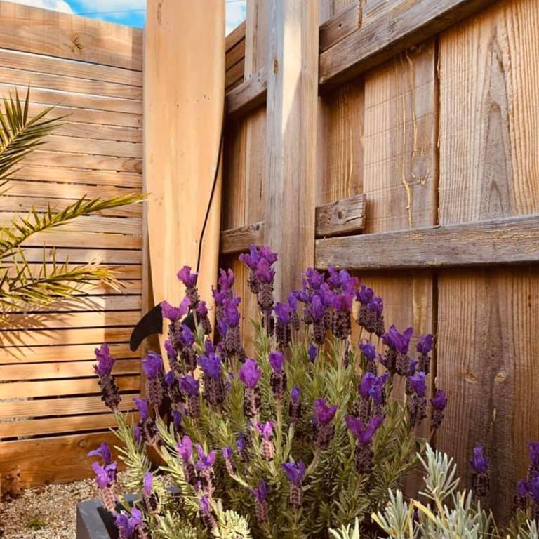 Le Chai de l'Océan -Maison plage à 300m - Jardin Terrasse - Haus mit 2 Schlafzimmern - 88