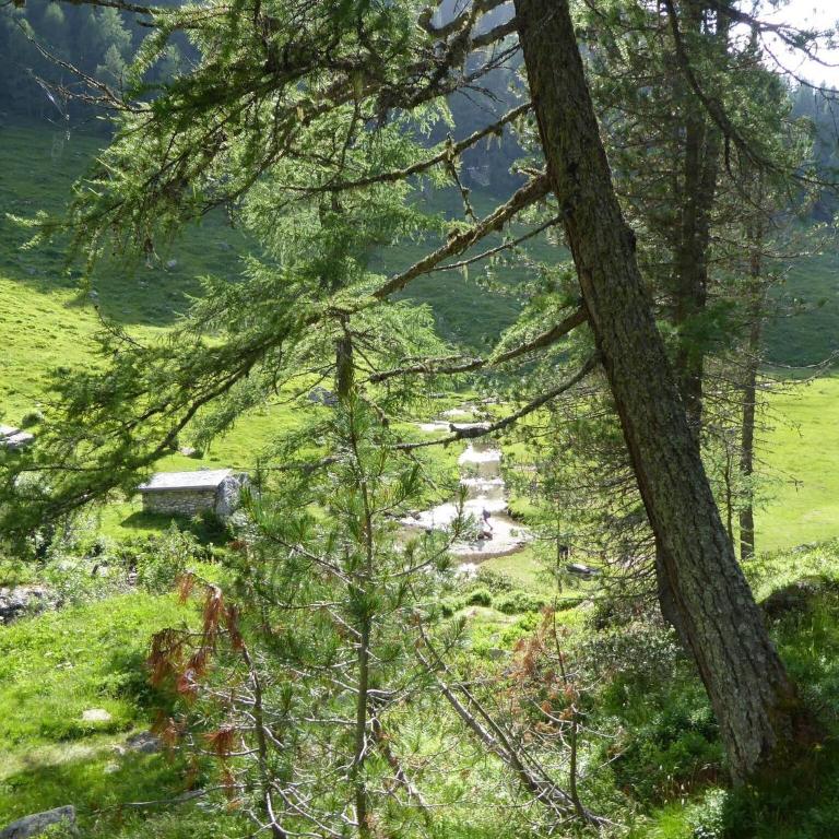 Family Retreat near Garda - Casa Vacanze con 2 Camere da Letto - 40