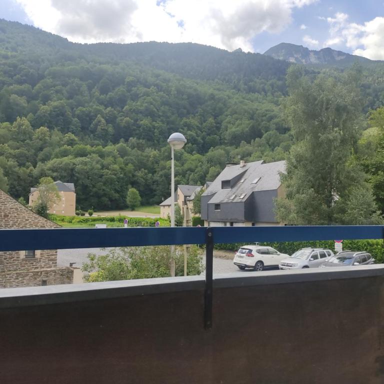Appartement cosy Saint Lary village - Appartamento con 1 Camera da Letto - 13