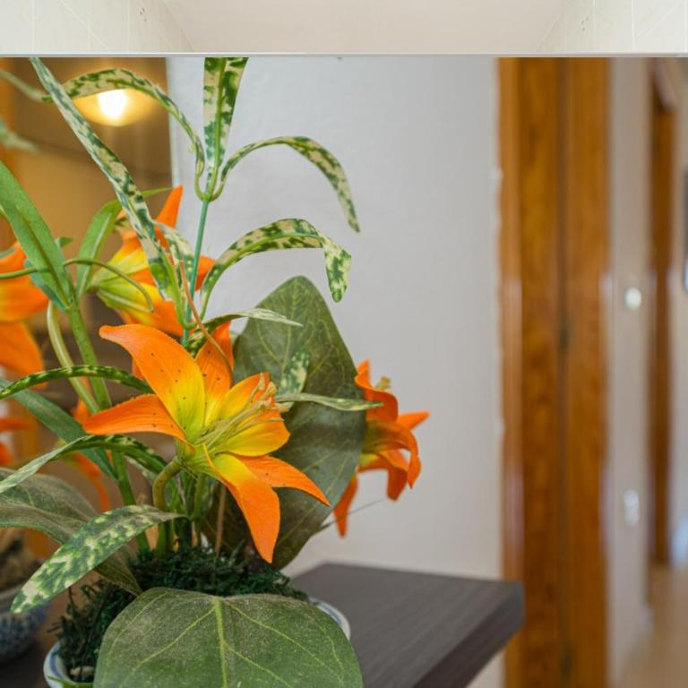 Coliseo 6 3C Spaniahome - Two-Bedroom Apartment - 22