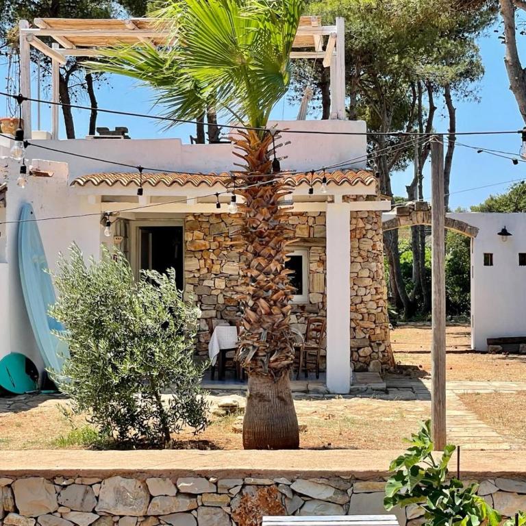 Casa Vacanze Capurre "Trulli e Pajare a due passi dal Pizzo" - Casa con 1 Camera da Letto - 20