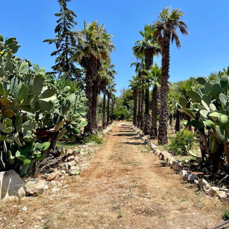 Casa Vacanze Capurre "Trulli e Pajare a due passi dal Pizzo" - Casa con 1 Camera da Letto - 21
