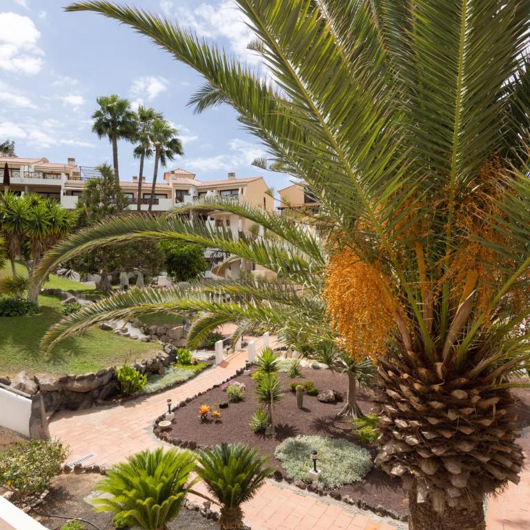 Oceanfront Tenerife South Abatros 254 - Apartamento de 1 dormitorio - 4