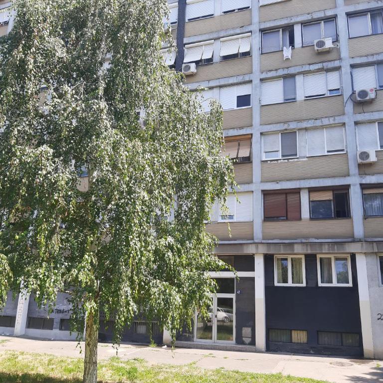 BLUE DANUBE - Apartman sa 1 Spavaćom Sobom - 12