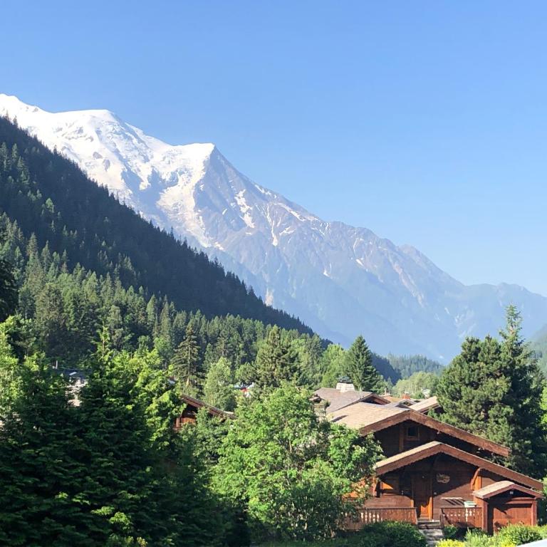 Residence La Verte 24- Aux Pieds des pistes! - Appartamento - 2