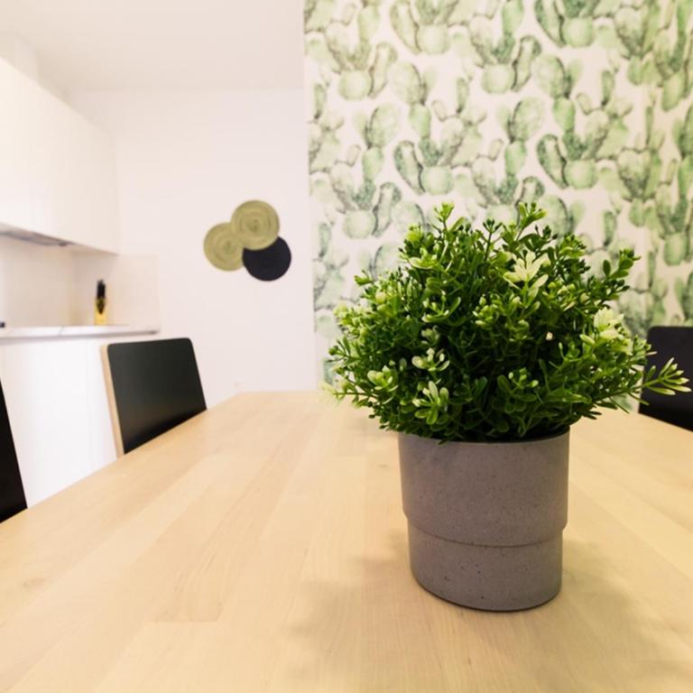 Moderno apartamento urbano en barrio histórico 1ºI - Apartamento de 2 dormitorios - 9