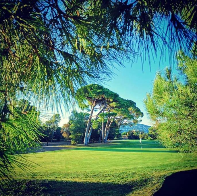 Luxury 3 pièce Garden Apartment in Cannes Marina - Appartement - Vue sur Mer - 19