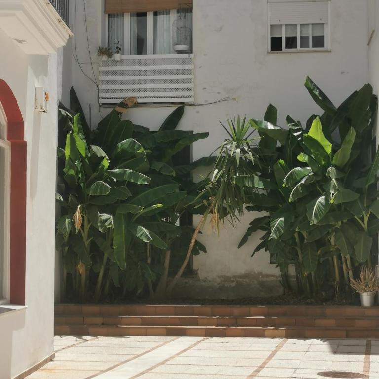 Apartamento en calle Ancha, en pleno centro - Apartamento de 2 dormitorios - 27