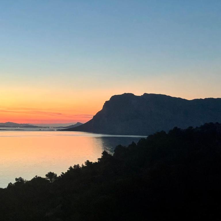 Punta Est - Mono OSTRO Terrazza Fronte Mare - Appartamento con 1 Camera da Letto - 37