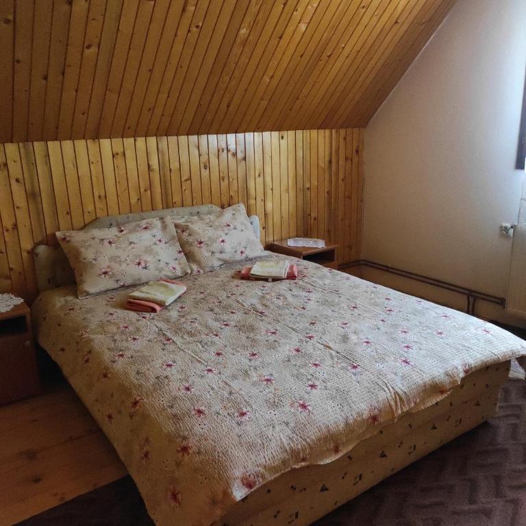 Apartmani Ćetković - Apartment - 6