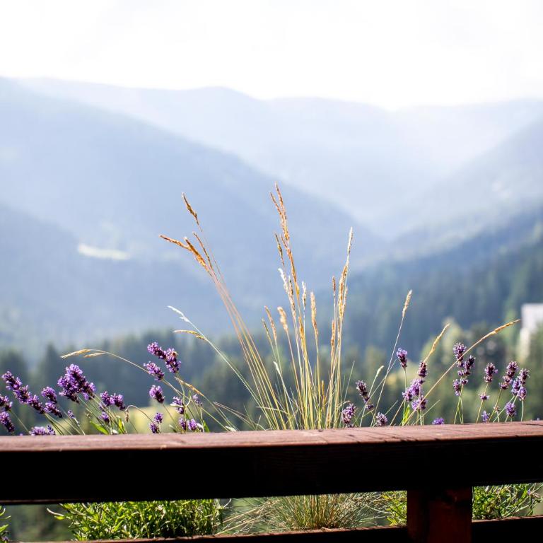 Bergblick Ruhe und Aussicht auf 1100m - Apartment mit 1 Schlafzimmer - 2