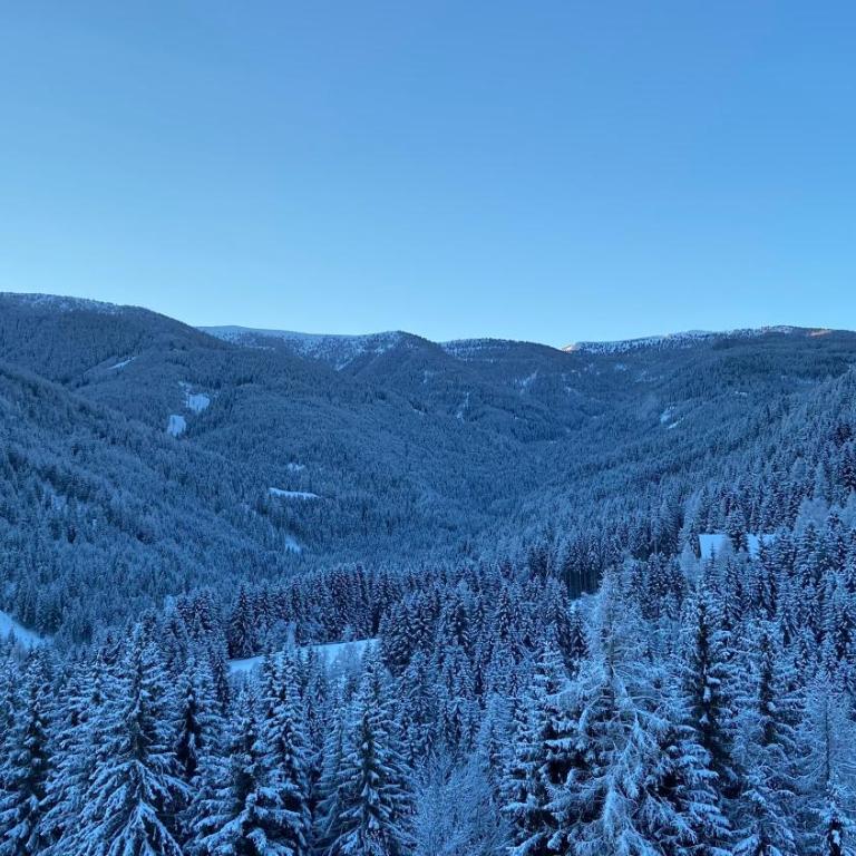 Bergblick Ruhe und Aussicht auf 1100m - Apartment mit 1 Schlafzimmer - 21