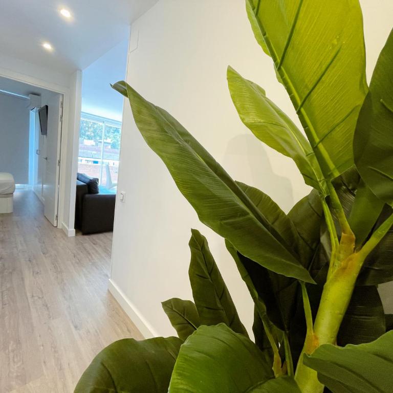 Live Lloret - Apartamento de 1 dormitorio - 12