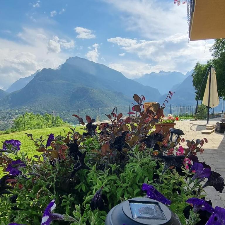 Lo Noyer et les Roses - Camera Matrimoniale/Doppia con Letti Singoli con Vista Montagna - 4