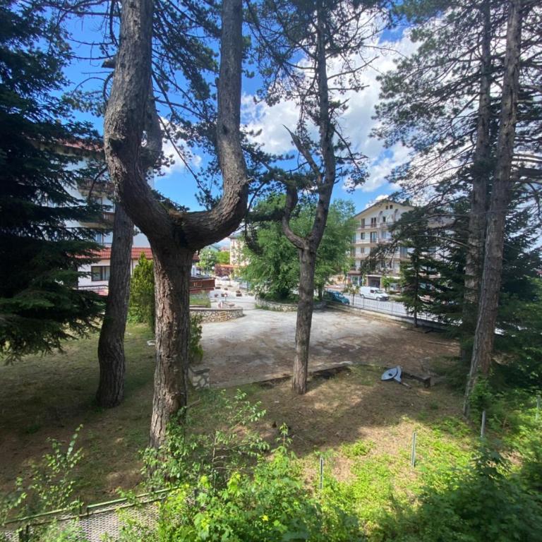 Sendy Home Roccaraso 1 - Apartamento de 1 dormitorio - 25