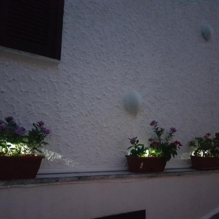 casa al mare kalispera - Casa con 1 Camera da Letto - 25
