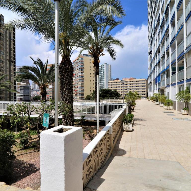 La Perla Benidorm Apartment seaview & pool Levante Beach - Apartment - 66