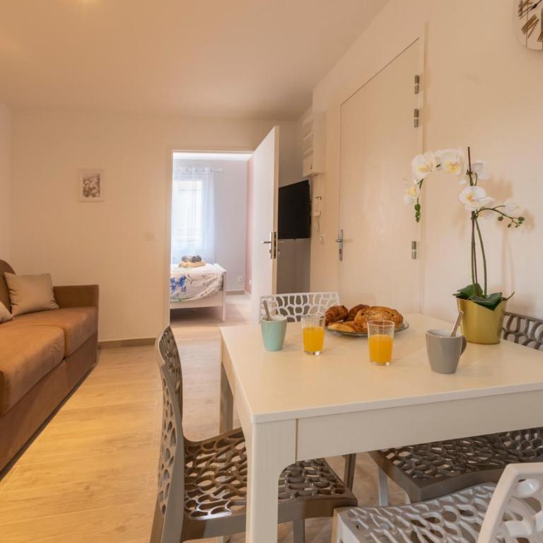 LOC TROTTEUR LE FLEUR DES CHAMPS F2 cosy, gare SNCF de Lourdes - Appartamento con 1 Camera da Letto - 7