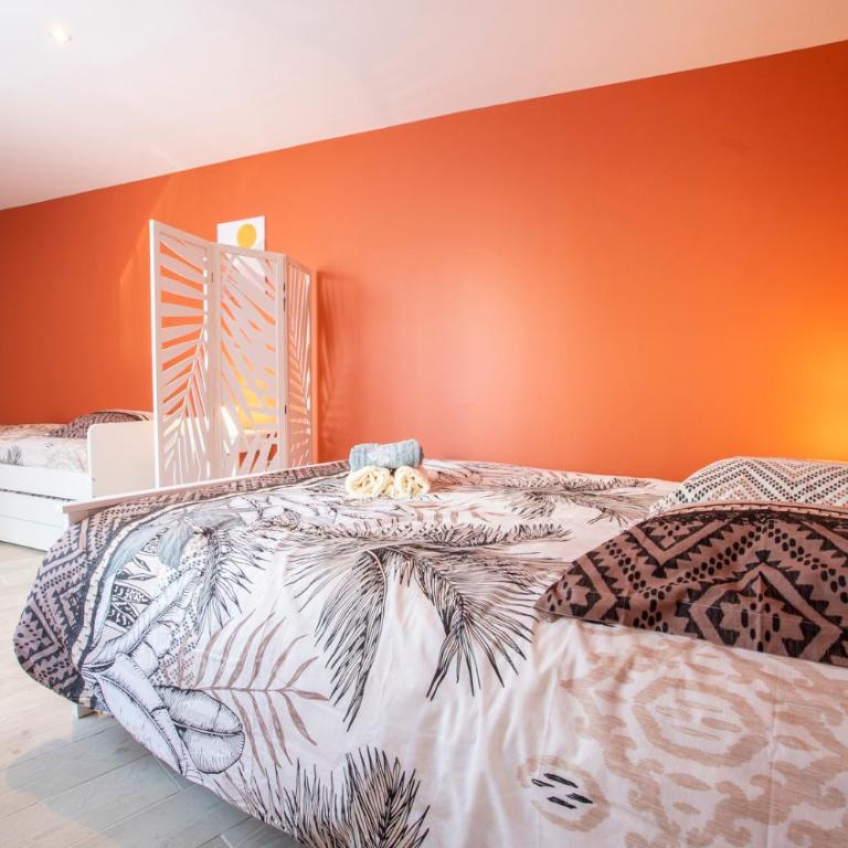 LOC TROTTEUR LE SAFRAN F2 Grand confort, gare SNCF de Lourdes - Appartamento con 1 Camera da Letto - 22