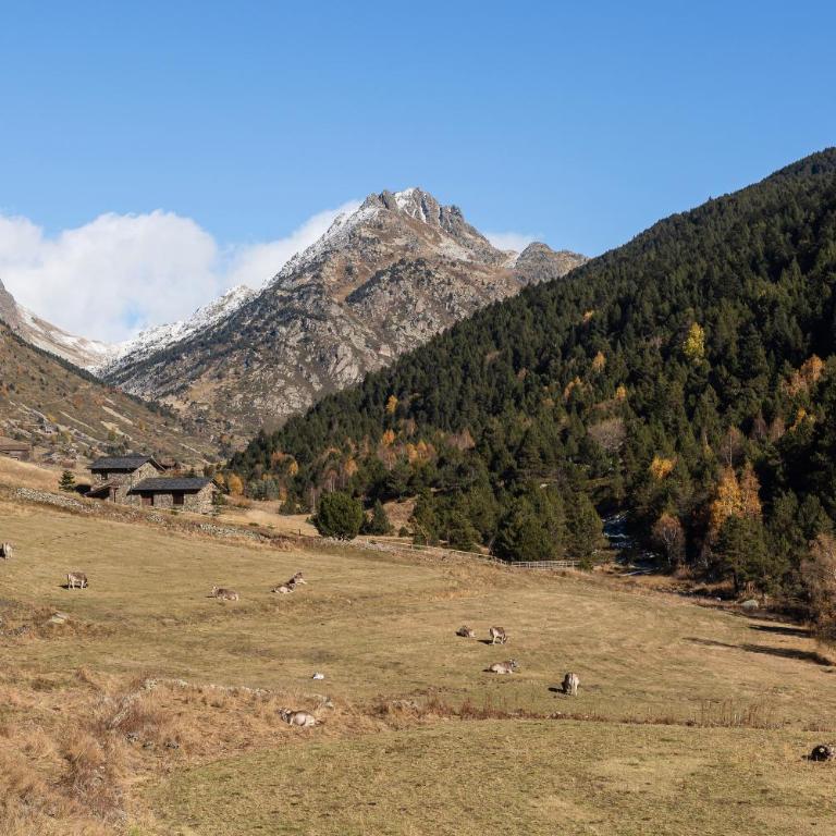Dúplex con Parking en el Corazón de Incles I AndStay HUT17488 - Chalet de 2 dormitorios - 43