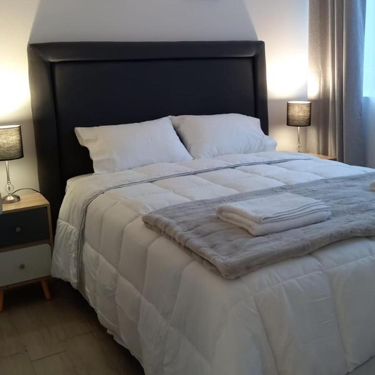 Comodo Departamento en Santiago Centro - Two-Bedroom Apartment - 1