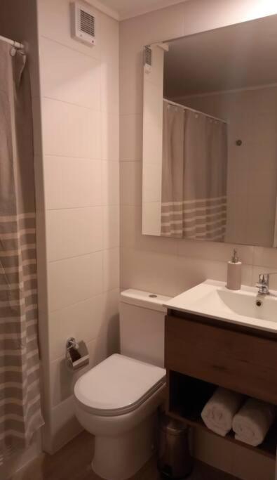 Comodo Departamento en Santiago Centro - Two-Bedroom Apartment - 21