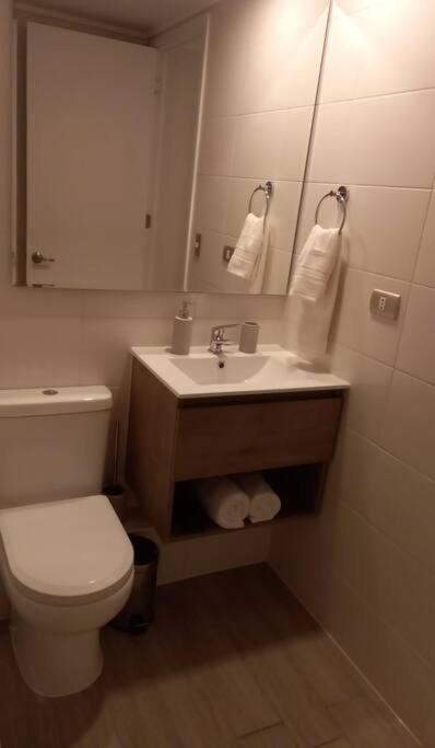 Comodo Departamento en Santiago Centro - Two-Bedroom Apartment - 20