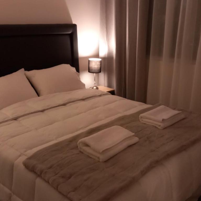 Comodo Departamento en Santiago Centro - Two-Bedroom Apartment - 2