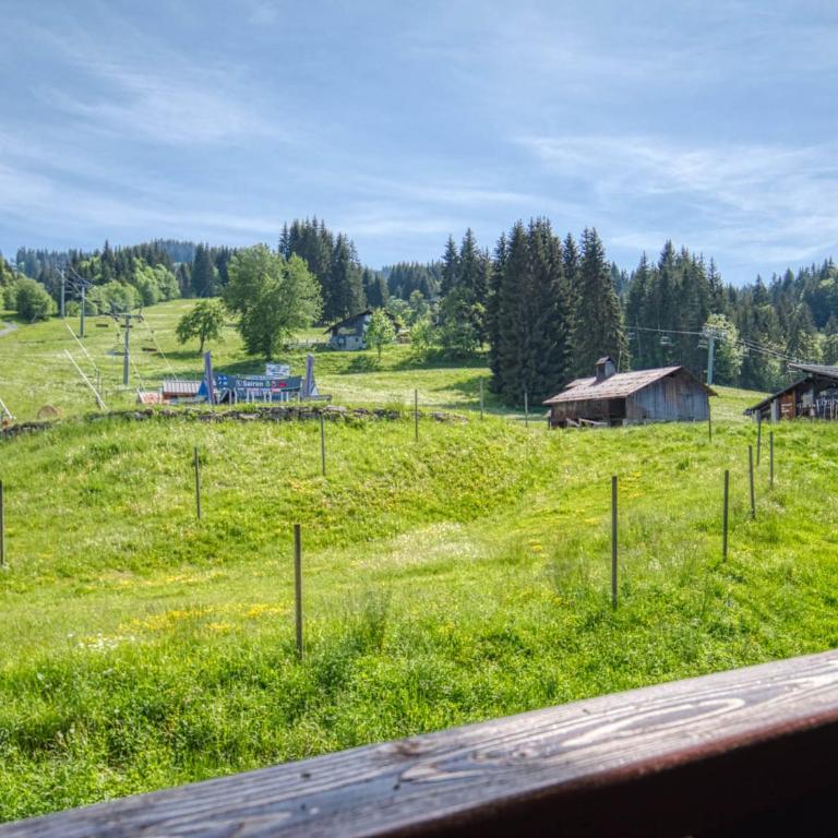 Appartement 1 Chambre, Coin Montagne, Vue Pistes, 4 Pers - Appartement 1 Chambre - 2