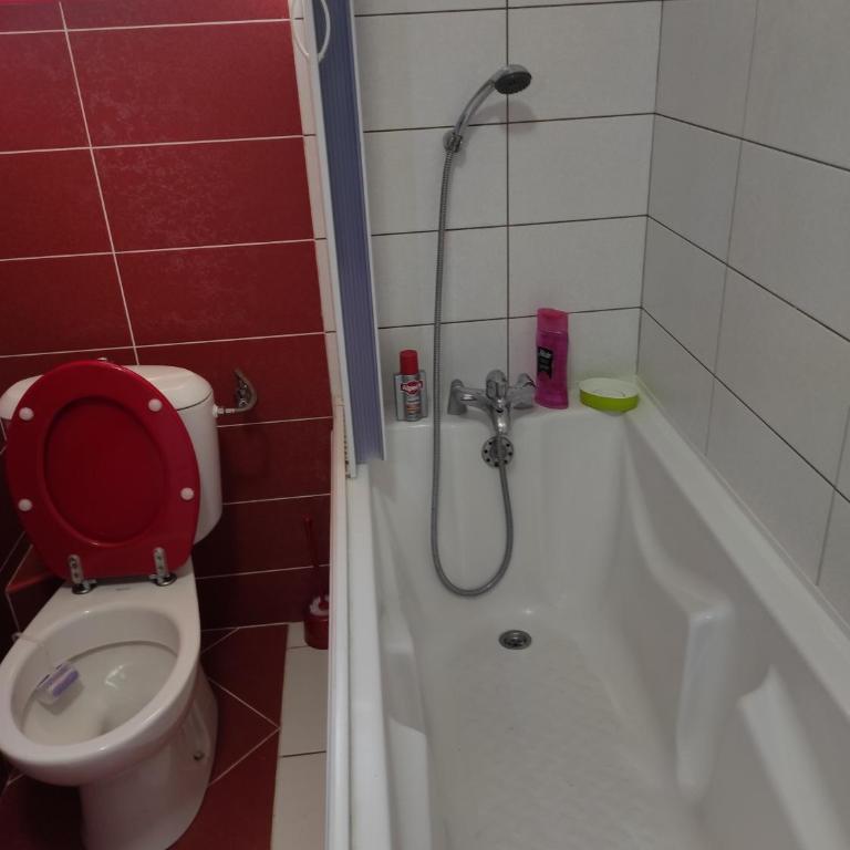 Guesthouse Djacic - Studio sa Bračnim Krevetom (Queen-size) - 4