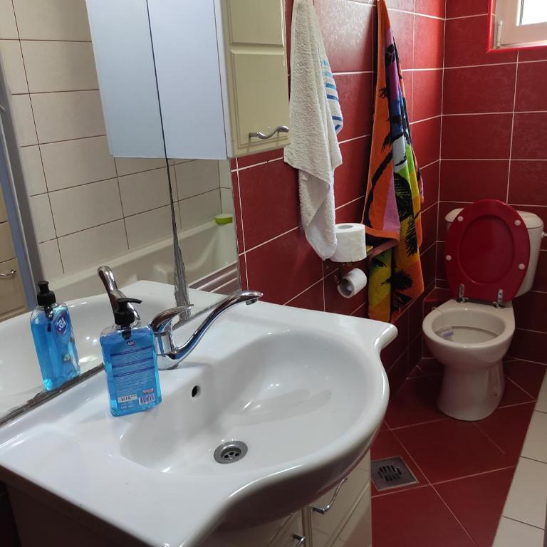 Guesthouse Djacic - Studio sa Bračnim Krevetom (Queen-size) - 1