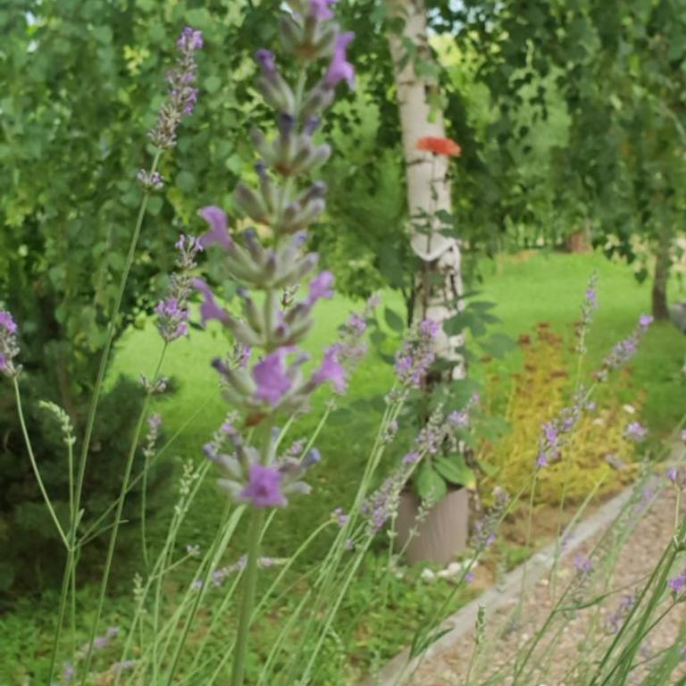 Green Garden Lohovo - Two-Bedroom Townhouse - 41